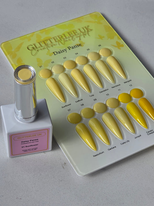 Daisy Panse Yellow Collection