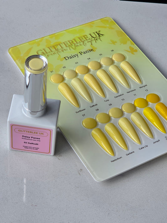 Daisy Panse Yellow Collection