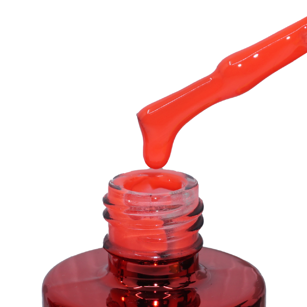 49 Gros Choux d'Hollande