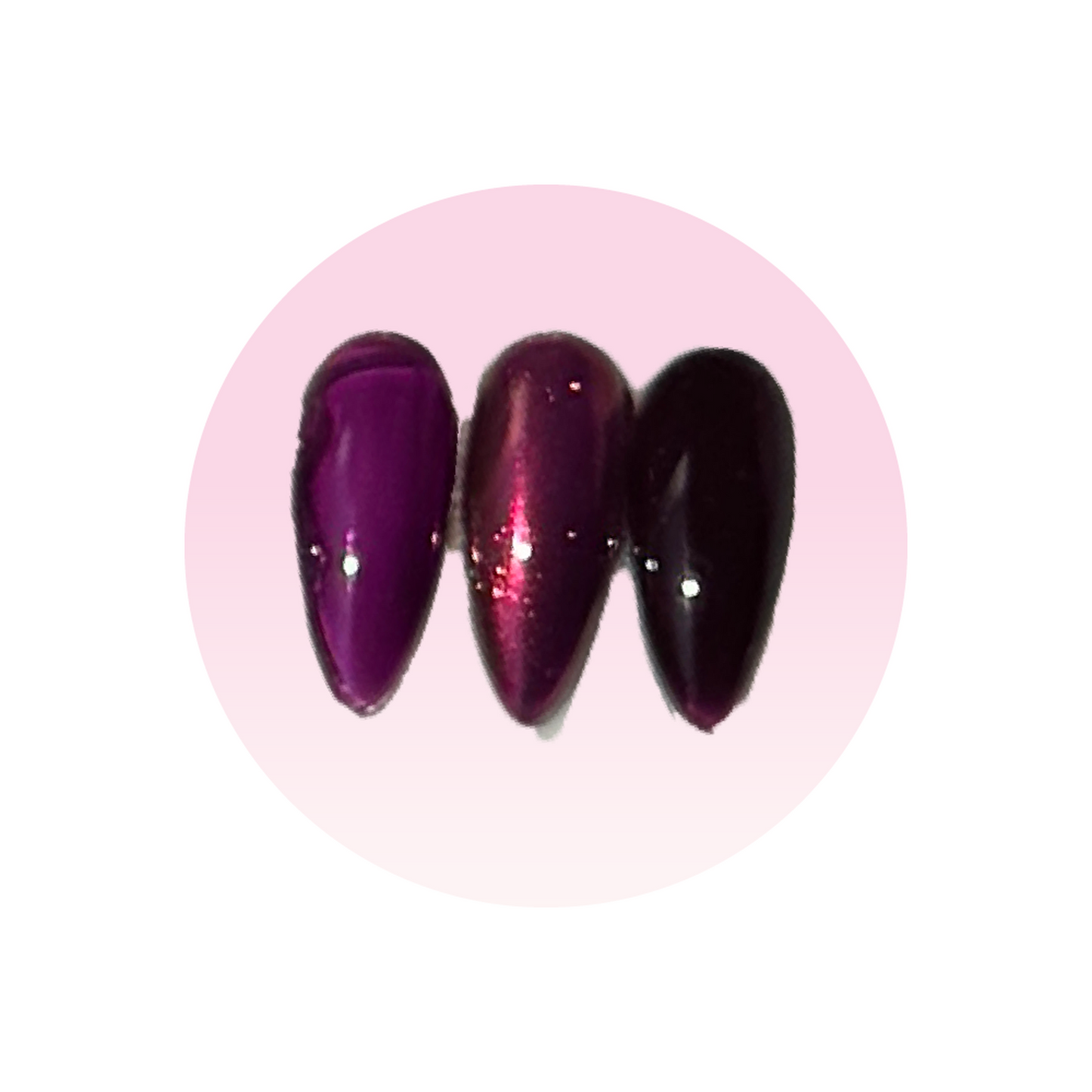 Jelly 22 Foxtail