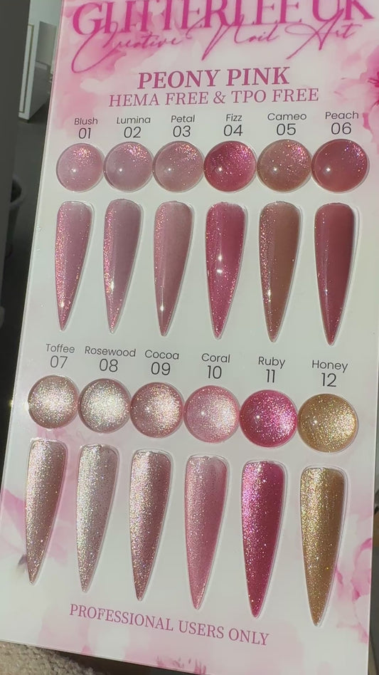 Peony cateye collection x 12 color